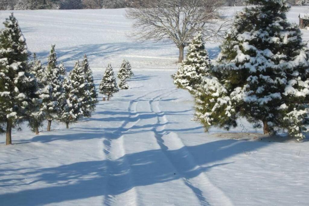 Rural Life On A Real Christmas Tree Farm! Hallmark Experience! Ozark Exterior foto