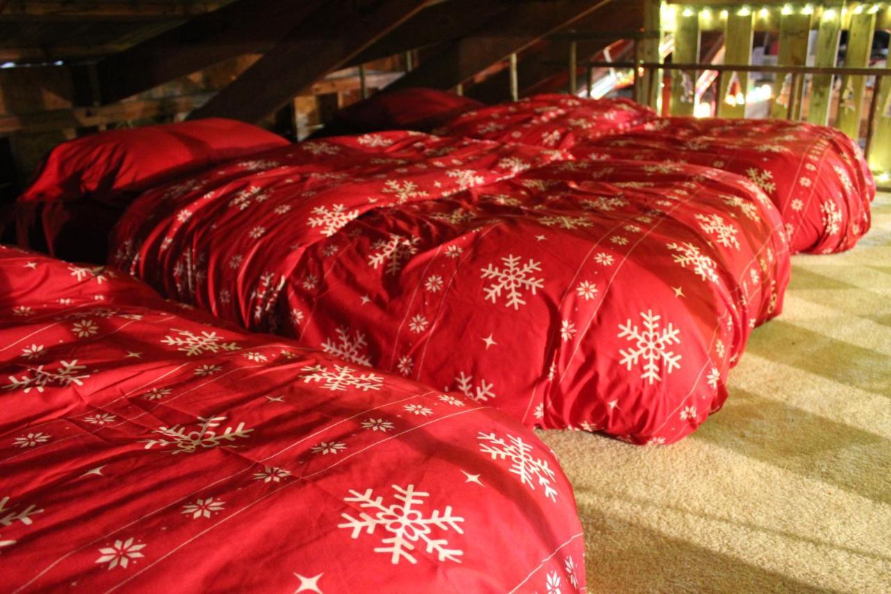 Rural Life On A Real Christmas Tree Farm! Hallmark Experience! Ozark Exterior foto