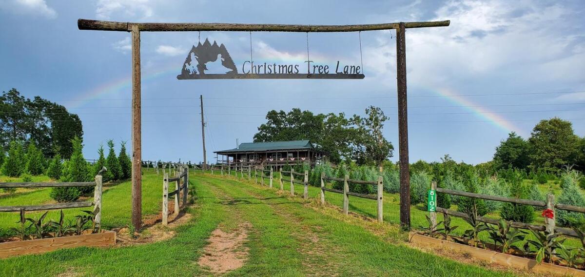 Rural Life On A Real Christmas Tree Farm! Hallmark Experience! Ozark Exterior foto